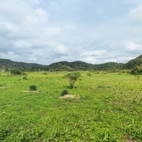 (圖片轉載自：風域半島)