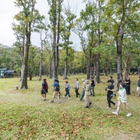 (圖片轉載自：風域半島)