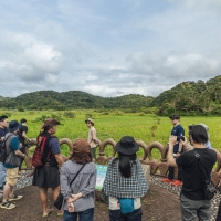 (圖片轉載自：風域半島)