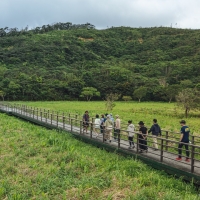 (圖片轉載自：風域半島)