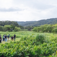 (圖片轉載自：風域半島)